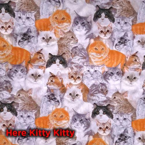 here-kitty-kitty